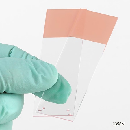 Globe Scientific Microscope Slides, Diamond White Glass, 25x75mm, Charged, 90Deg. Ground Edges, Orange Frosted, 72PK 1358N-72